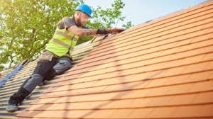 Best Solar Panel Roofing Installation  in Capron, IL