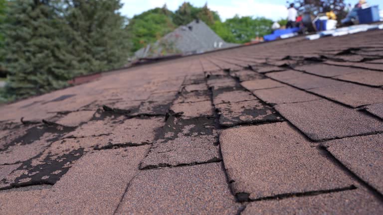 Best Gutter Installation and Repair  in Capron, IL