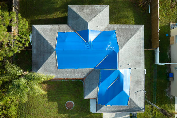 Best Roof Moss and Algae Removal  in Capron, IL