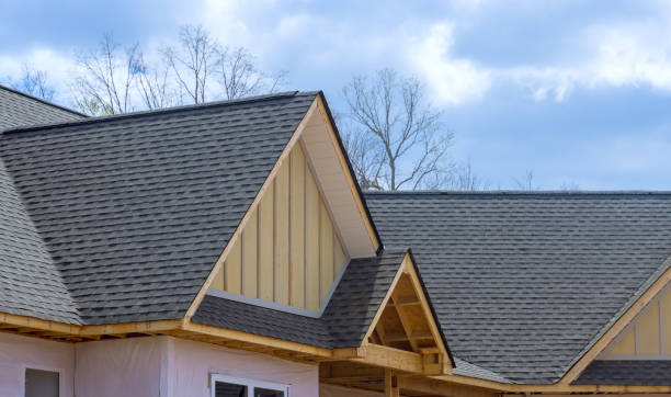 Best Roof Coating and Sealing  in Capron, IL