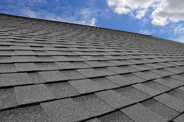 Best Asphalt Shingle Roofing  in Capron, IL