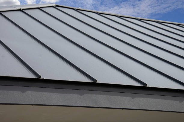 Steel Roofing in Capron, IL